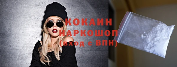 стаф Медногорск