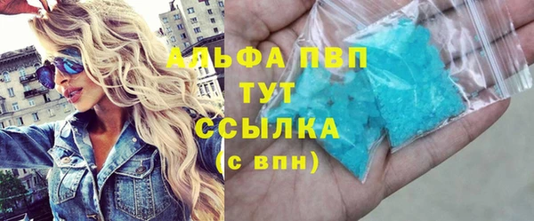 стаф Медногорск