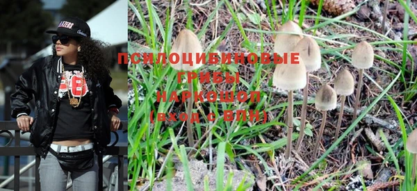 бошки Мегион