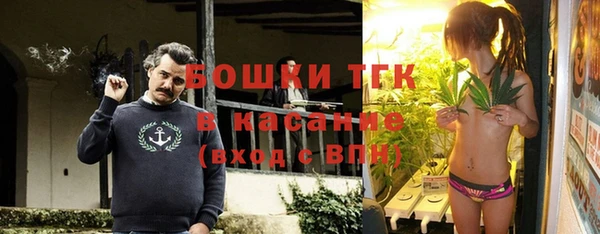 стаф Медногорск