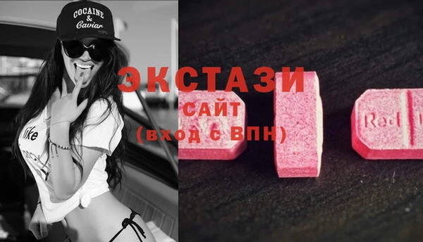 стаф Медногорск