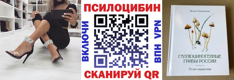 Галлюциногенные грибы Psilocybine cubensis  Купить закладки  Элиста 